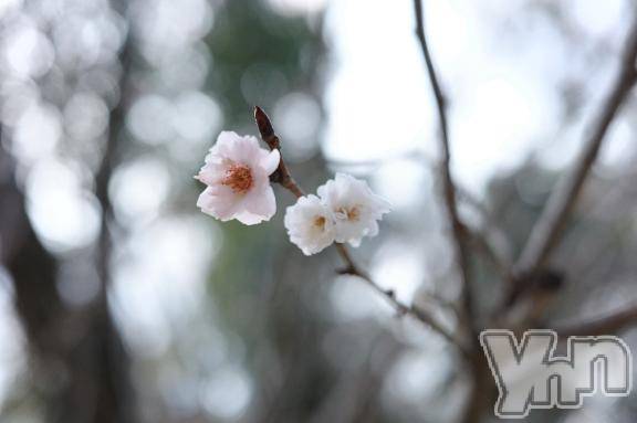 甲府ソープBARUBORA(バルボラ)つむぎ(20)の2026年3月8日写メブログ「お世話になりました！」