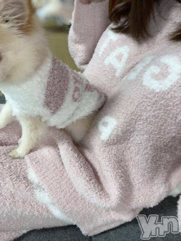 石和ソープ石和クリスタル(イサワクリスタル) いおん(34)の1月21日写メブログ「お知らせ⋆͛📢⋆」