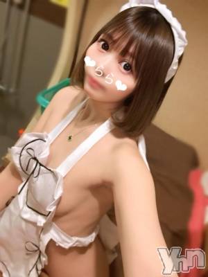 甲府ソープ 石蹄(セキテイ) らら(22)の1月22日写メブログ「調教されちゃいました⁉️🐈⸒⸒⸒⸒」