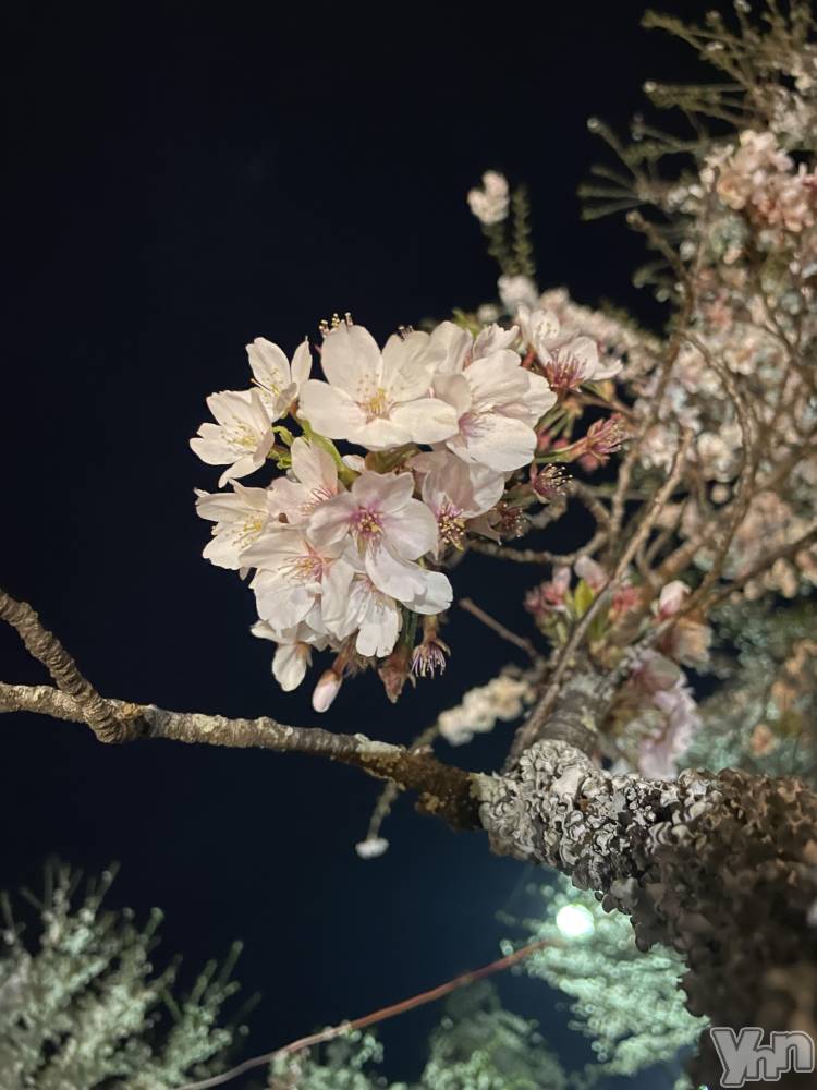 ���ܥ���Х��顦�����CLUB HEARTS(����֥ϡ���) ��ʤ�4��8���̥�֥����������