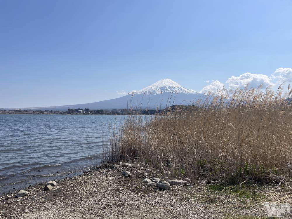 ���ܥ���Х��顦�����CLUB HEARTS(����֥ϡ���) ��ʤ�4��14���̥�֥�����🗻💖��