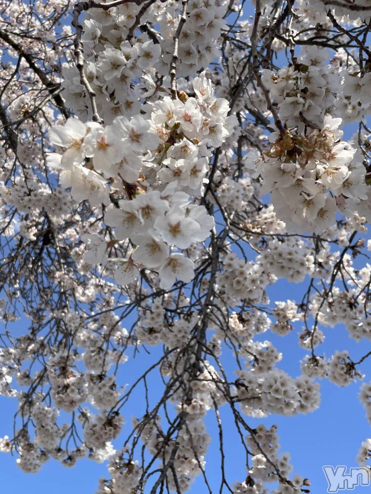 ���ܥ���Х��顦�����CLUB HEARTS(����֥ϡ���) ��ʤ�4��20���̥�֥�����𓂃🌸𓈒𓏸��