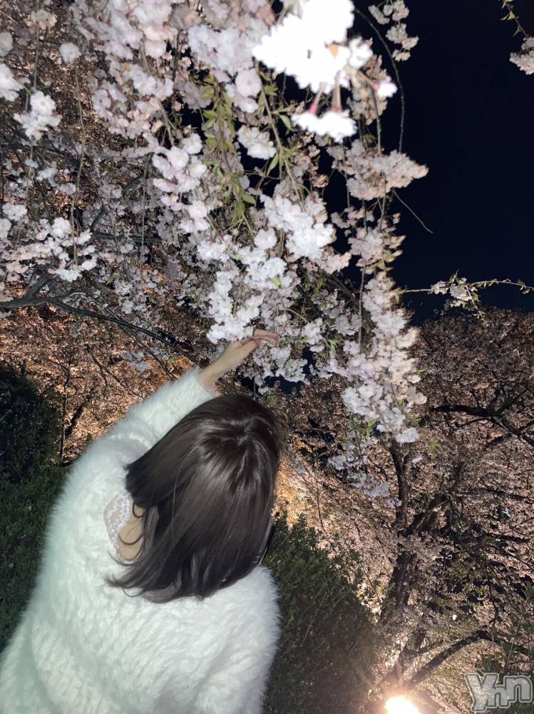 ���ܥ���Х��顦�����CLUB HEARTS(����֥ϡ���) ��ʤ�4��2���̥�֥��������𓂃🌸𓈒𓏸��