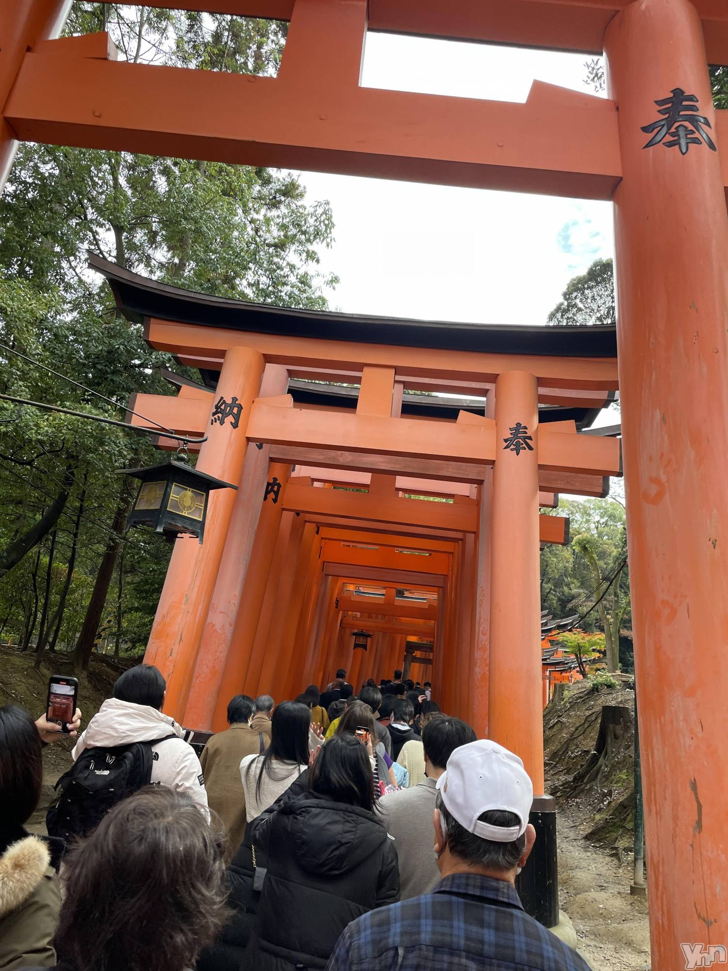 ���ܥ���Х��顦�����CLUB HEARTS(����֥ϡ���) ��2022ǯ11��20���̥�֥�����⛩��