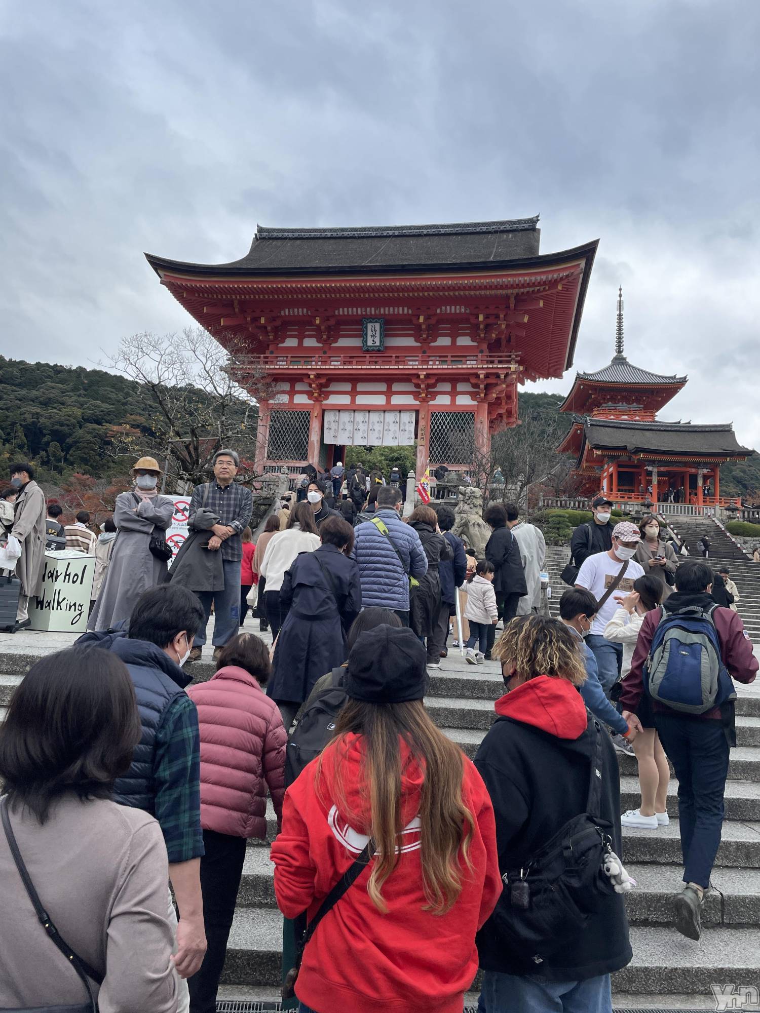 ���ܥ���Х��顦�����CLUB HEARTS(����֥ϡ���) ��2022ǯ11��20���̥�֥����������������