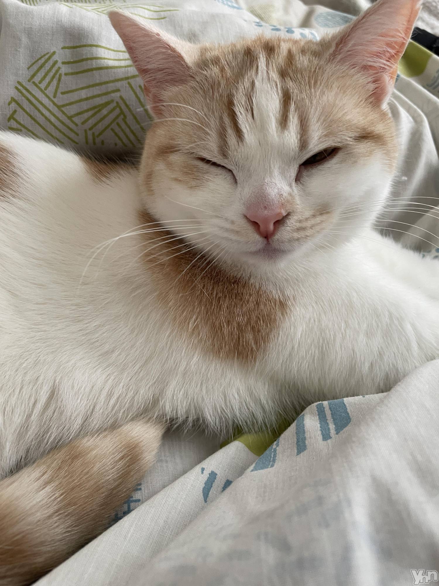 ���ܥ���Х��顦�����CLUB HEARTS(����֥ϡ���) ��2023ǯ4��12���̥�֥�����🐈🐾��