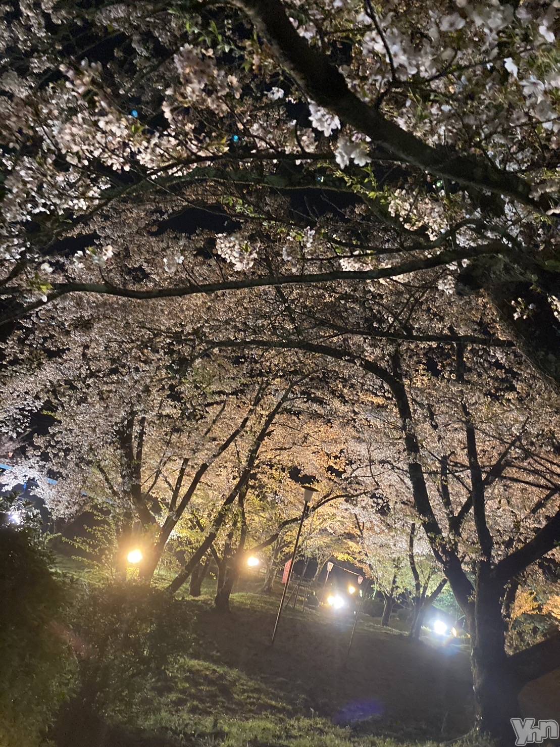 ���ܥ���Х��顦�����CLUB HEARTS(����֥ϡ���) ��2023ǯ4��12���̥�֥�����🥺💖🥺💖��