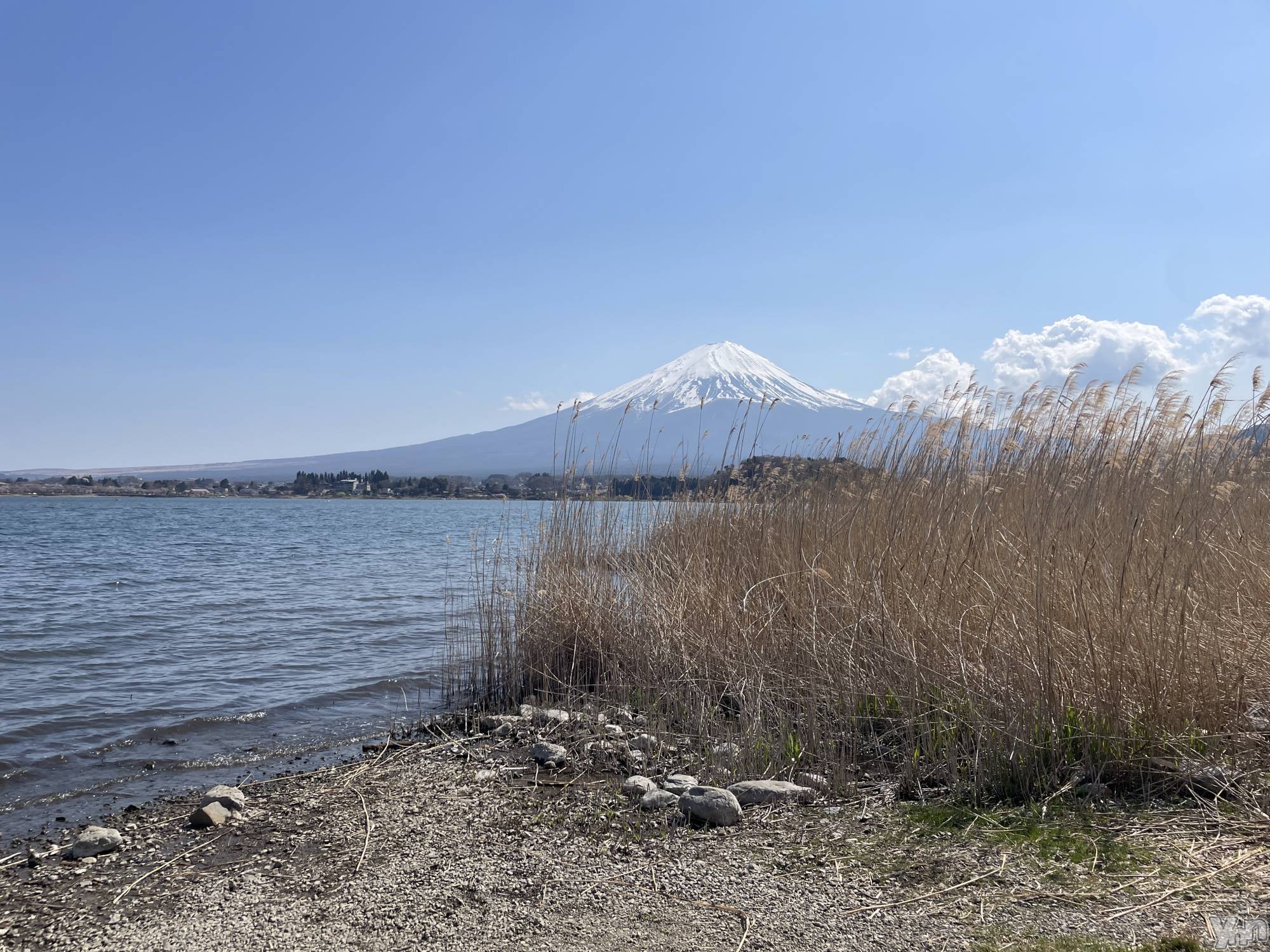 ���ܥ���Х��顦�����CLUB HEARTS(����֥ϡ���) ��2023ǯ4��14���̥�֥�����🗻💖��