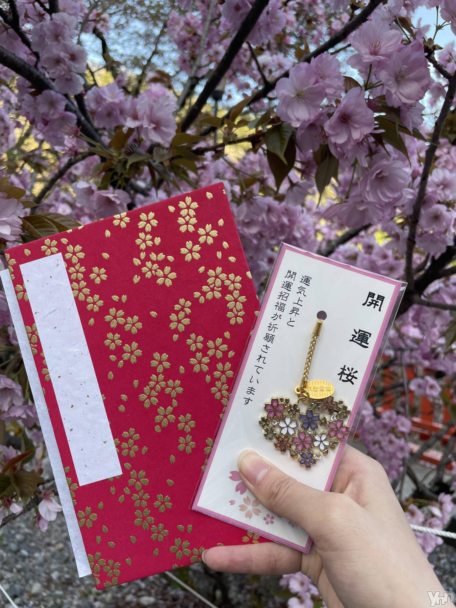 ���ܥ���Х��顦�����CLUB HEARTS(����֥ϡ���) ��2023ǯ4��17���̥�֥�����🌸💓��