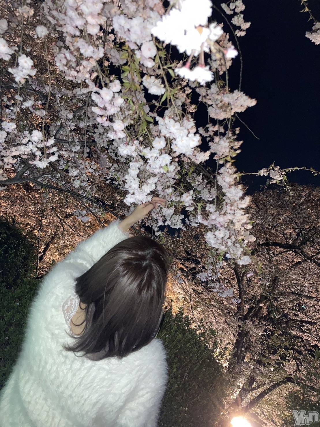 ���ܥ���Х��顦�����CLUB HEARTS(����֥ϡ���) ��2024ǯ4��2���̥�֥��������𓂃🌸𓈒𓏸��