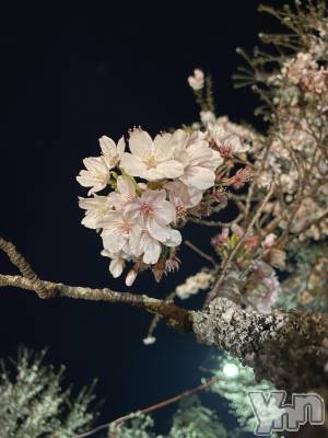 ���ܥ���Х��顦�����CLUB HEARTS(����֥ϡ���) ���(21)��4��8���̥�֥����������