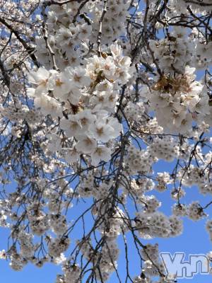 ���ܥ���Х��顦�����CLUB HEARTS(����֥ϡ���) ���(21)��4��20���̥�֥�����𓂃🌸𓈒𓏸��