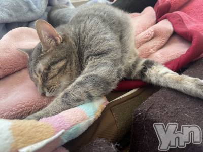 ���ܥ���Х��顦�����CLUB HEARTS(����֥ϡ���) ���(21)��4��28���̥�֥�����🐱��