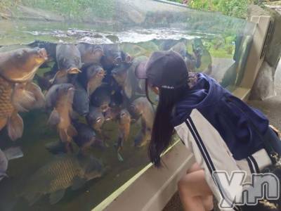 石和ソープ 石和クリスタル(イサワクリスタル) つむぎ(23)の10月22日写メブログ「仙台水族館🐟」