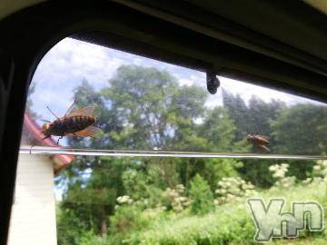 甲府デリヘル甲府人妻隊(コウフヒトヅマタイ) しま(40)の7月31日写メブログ「おはようございます。7/31」