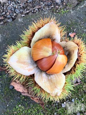 甲府デリヘル甲府人妻隊(コウフヒトヅマタイ) しま(40)の9月10日写メブログ「小さい秋みーつけた！9/10」