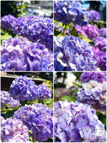 甲府デリヘル甲府人妻隊(コウフヒトヅマタイ)しま(40)の2023年7月9日写メブログ「おはようございます。7/9」