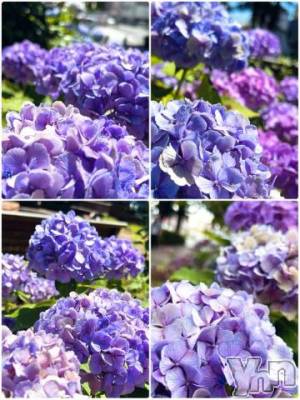 甲府デリヘル 甲府人妻隊(コウフヒトヅマタイ) しま(40)の7月9日写メブログ「おはようございます。7/9」