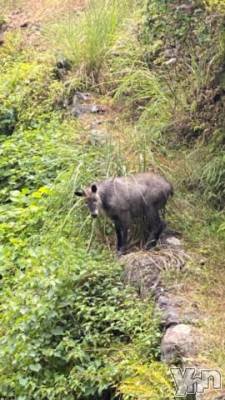 甲府デリヘル 甲府人妻隊(コウフヒトヅマタイ) しま(40)の8月16日写メブログ「こんにちは！8/16」