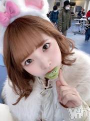 甲府ソープオレンジハウス めだか(21)の12月8日写メブログ「もうすぐ💗」