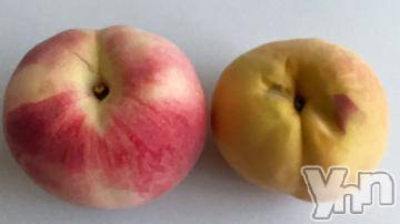 富士吉田デリヘル Three＆Men’s Spa 河口湖(スリー＆メンズスパ) るみスリー(50)の8月5日写メブログ「だよね～」