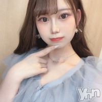 はるひ