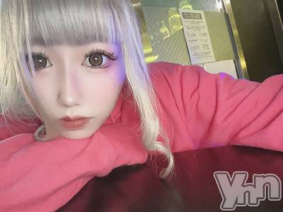 (20) Ĺ162cmܥʥå륺С Girls Bar EVER FREE(륺ССե꡼)ҡ