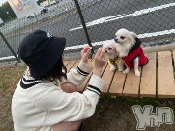 甲府ソープオレンジハウス つきひ(24)の11月6日写メブログ「お休みは🚗³₃」