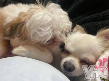 甲府ソープオレンジハウス つきひ(24)の1月2日写メブログ「[お題]from:一富士二鷹さん」