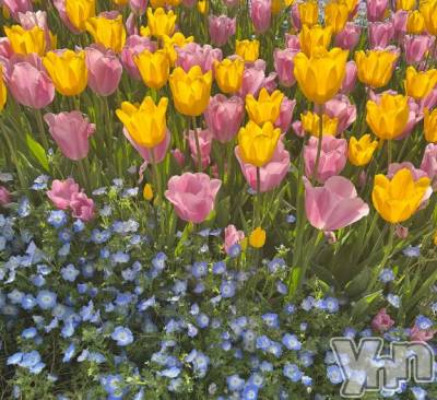 甲府ソープ 石蹄(セキテイ) くりす(22)の6月2日写メブログ「🕊️6.2 part②3名お兄様🕊️」