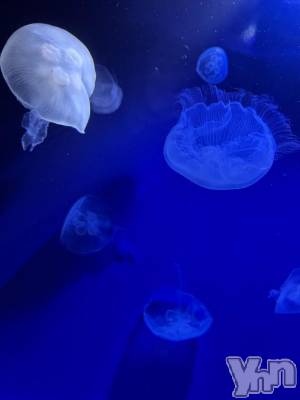 甲府ソープ 石蹄(セキテイ) くりす(22)の2月22日写メブログ「🍊2.22     19:20～本指名お兄様🍊」