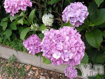 富士吉田デリヘルThree＆Men’s Spa 河口湖(スリー＆メンズスパ) まりこスリー(60)の7月7日写メブログ「ありがとう💕」