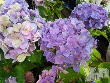 富士吉田デリヘルThree＆Men’s Spa 河口湖(スリー＆メンズスパ)まりこスリー(60)の2023年7月7日写メブログ「ありがとうございました(^^)」