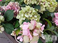 富士吉田デリヘルThree＆Men’s Spa 河口湖(スリー＆メンズスパ) まりこスリー(60)の6月13日写メブログ「おやすみなさい」