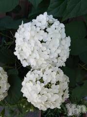 富士吉田デリヘルThree＆Men’s Spa 河口湖(スリー＆メンズスパ) まりこスリー(60)の6月24日写メブログ「ありがとうございました(^^)」