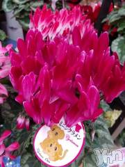 富士吉田デリヘルThree＆Men’s Spa 河口湖(スリー＆メンズスパ) まりこスリー(60)の11月24日写メブログ「あったかいですね(^^)」