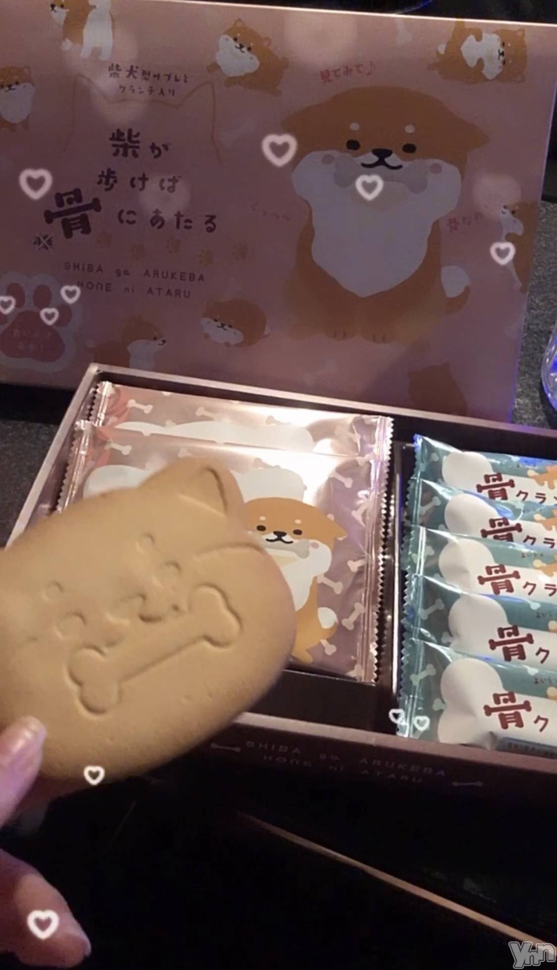 ���ܥ���Х��顦�����CLUB HEARTS(����֥ϡ���) ��2024ǯ4��4���̥�֥����ֺ����Τ��‼️�������̣�����ä�🐶��