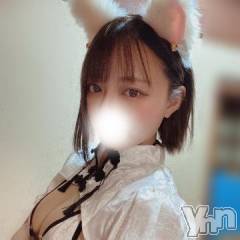 甲府ソープ石蹄(セキテイ) みりあ(23)の1月24日写メブログ「にゃん🐈」