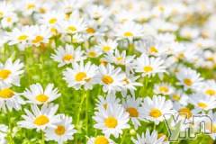 甲府ソープ石蹄(セキテイ) みりあ(23)の1月9日写メブログ「ごめんなさい」