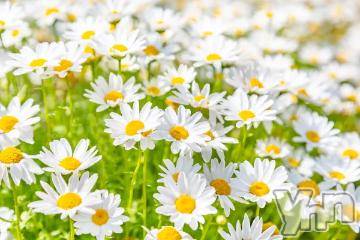 甲府ソープ 石蹄(セキテイ) みりあ(23)の1月9日写メブログ「ごめんなさい」