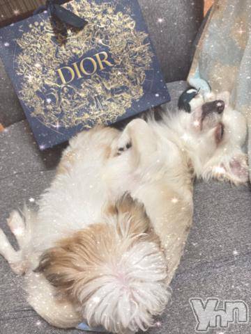 甲府ソープ石蹄(セキテイ)つきひ(24)の2022年12月2日写メブログ「こんにちは」