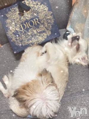 甲府ソープ 石蹄(セキテイ) つきひ(24)の12月2日写メブログ「こんにちは」