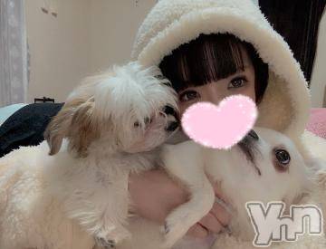 甲府ソープ 石蹄(セキテイ) つきひ(24)の5月9日写メブログ「秘密の恋しよ？❤️‍🔥」