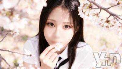 甲府ソープ BARUBORA(バルボラ) よしの(22)の4月8日写メブログ「💌 全部🍑のせい。」