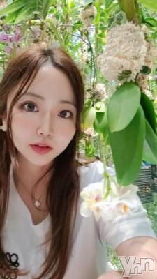 甲府ソープ オレンジハウス みつば(24)の6月13日写メブログ「決まりました♡♡」