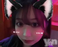 椦 ܥʥå륺С Girl's BAR KINGS(륺С 󥰥)ҡ