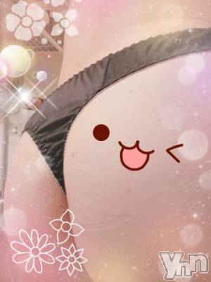 甲府デリヘル 熟女専門デリヘル　甲府マダム(ジュクジョセンモンデリヘル　コウフマダム) 星野(44)の5月16日写メブログ「おはようございます☀️」