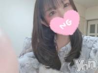 出勤🐰