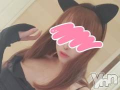 甲府デリヘル山梨デリヘル　絆　甲府店(ヤマナシデリヘル　キズナ　コウフテン) みこ(24)の8月18日写メブログ「まいごのにゃんこ」