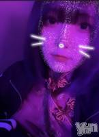 ܥʥå륺С󥫥եBar Pearl(󥫥եСѡ) ޤͤ524̥֥💜